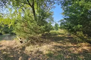 223 An County Road 4250, Palestine, TX 75803 - Photo 1