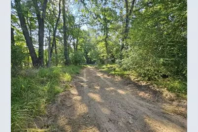 223 An County Road 4250, Palestine, TX 75803 - Photo 6