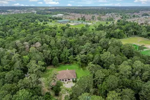 24387 Lenze Rd, Spring, TX 77389 - Photo 32