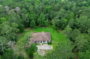 24387 Lenze Rd, Spring, TX 77389 - Photo 1