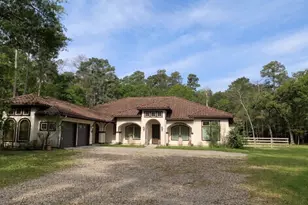 24387 Lenze Rd, Spring, TX 77389 - Photo 2