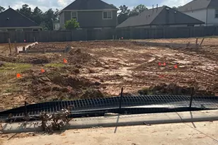 2974 Sir Ian Blake Dr, Conroe, TX 77301 - Photo 2
