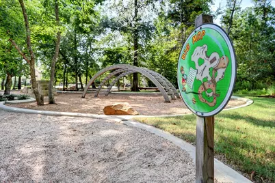 237 Patina Sorrel Drive, Montgomery, TX 77316 - Photo 42