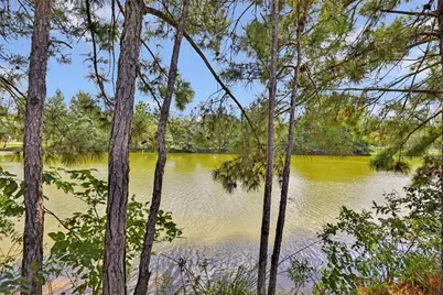 15933 Enloe Street, Splendora, TX 77372 - Photo 44