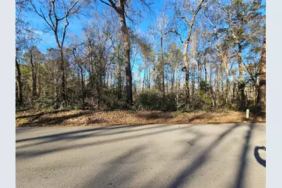 Lot 1 Sherwood Drive, Shepherd, TX 77371 - Photo 2