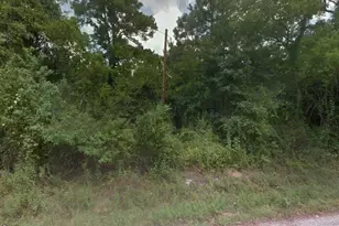 Lot 1 Sherwood Dr, Shepherd, TX 77371 - Photo 1