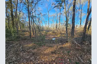 Lot 1 Sherwood Drive, Shepherd, TX 77371 - Photo 12