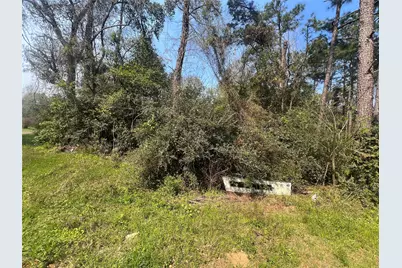 Tbd Red Fox Lane, Coldspring, TX 77331 - Photo 2