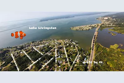 186 N Cattle Drive, Onalaska, TX 77360 - Photo 4