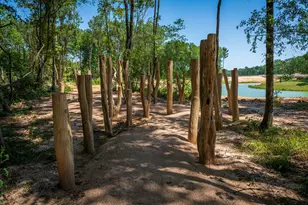 8736 Mancos Vly Ct, Porter, TX 77365 - Photo 20