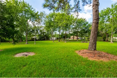 00 Parrish, Santa Fe, TX 77510 - Photo 16