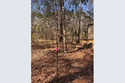 26816 Vista Meadow Court, Huffman, TX 77336 - Photo 34