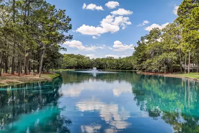 12722 Wolf Creek Court, Humble, TX 77346 - Photo 24
