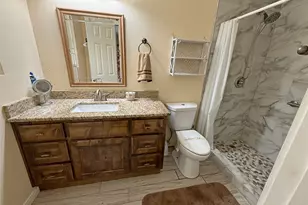 51 E Oakridge Dr, Point Blank, TX 77364 - Photo 18