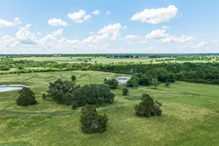 Tbd W Fm 1291, Round Top, TX 78954 - Photo 1