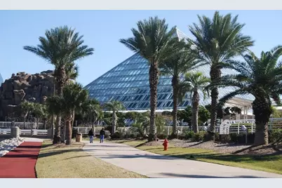 7000 Seawall Boulevard #721, Galveston, TX 77551 - Photo 28