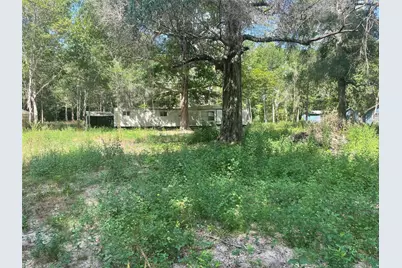 220 Bitter Creek Drive, Shepherd, TX 77371 - Photo 4