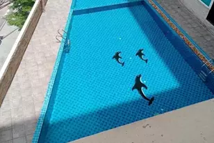 374 Pratamnak6 Alley, Almont, CO 20150 - Photo 2