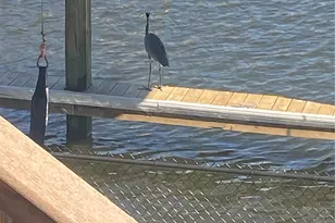 794 Marlin St, Bayou Vista, TX 77563 - Photo 32