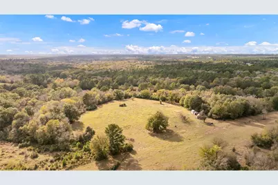 Tbd Fm 2445, Navasota, TX 77868 - Photo 6