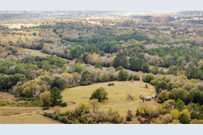 Tbd Fm 2445, Navasota, TX 77868 - Photo 8