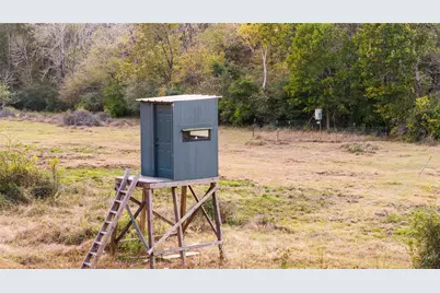 Tbd Fm 2445, Navasota, TX 77868 - Photo 1