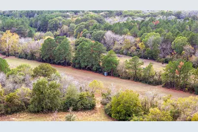 Tbd Fm 2445, Navasota, TX 77868 - Photo 10