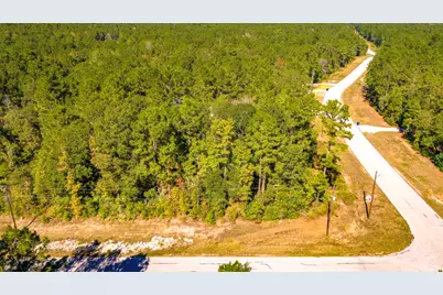 Tbd Grey Feather Road, Huntsville, TX 77340 - Photo 6