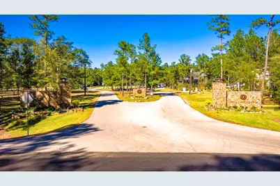 Tbd Grey Feather Road, Huntsville, TX 77340 - Photo 12