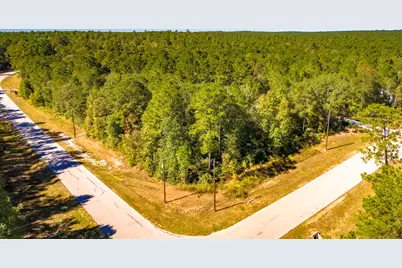 Tbd Grey Feather Road, Huntsville, TX 77340 - Photo 4