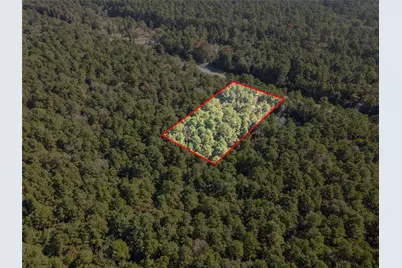 185 Rim Rock Road, Huntsville, TX 77340 - Photo 8