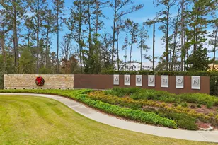 15218 Black Scoter Ct, Magnolia, TX 77354 - Photo 12