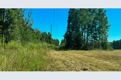 0015 Sh 249, Navasota, TX 77868 - Photo 4