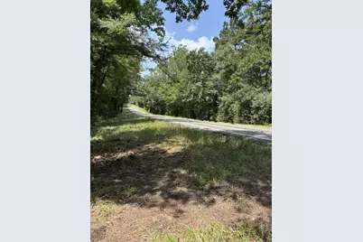 0 E State Highway 294, Grapeland, TX 75844 - Photo 4