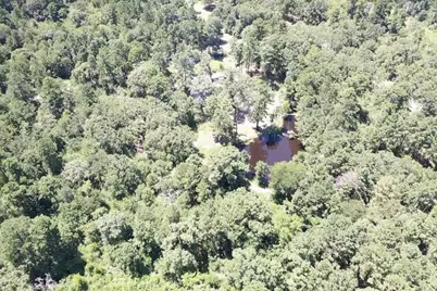 9175 Rocky Ridge Lane, Madisonville, TX 77864 - Photo 12