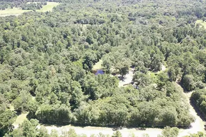 9175 Rocky Ridge Lane, Madisonville, TX 77864 - Photo 18