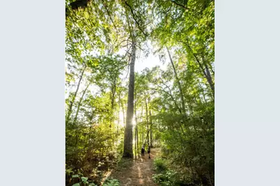 0 Larkspur Lane, New Waverly, TX 77358 - Photo 16