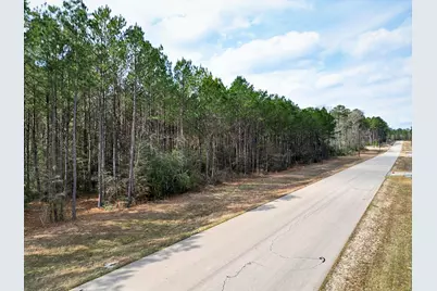 0 Larkspur Lane, New Waverly, TX 77358 - Photo 6