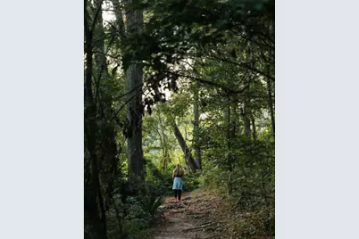 0 Larkspur Lane, New Waverly, TX 77358 - Photo 12