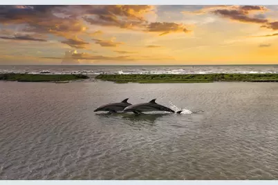 549 Private Road 675, Sargent, TX 77414 - Photo 16