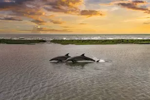 549 Private Rd 675, Sargent, TX 77414 - Photo 16