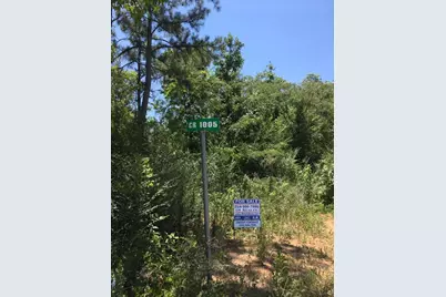 Tbd Cr 1005 Street, Newton, TX 75966 - Photo 2
