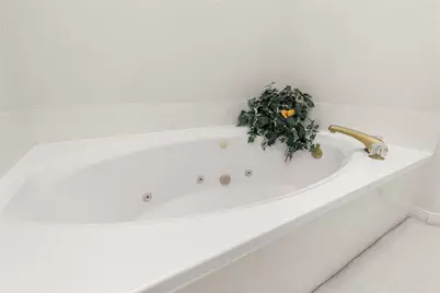 3203 Manor Grove Drive, Houston, TX 77345 - Photo 28