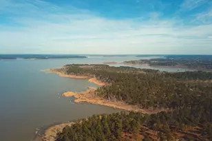 011 Private Road 6028, Brookeland, TX 75931 - Photo 10