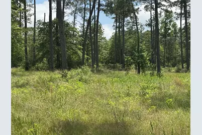 011 Private Road 6028, Brookeland, TX 75931 - Photo 1