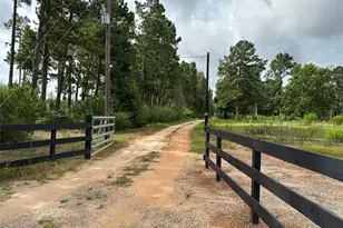 33615 Dobbin-Huffsmith Rd, Magnolia, TX 77354 - Photo 40