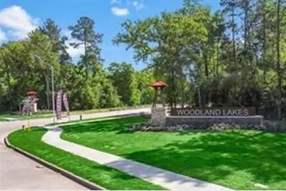 802 Wembley Wood Way, Houston, TX 77336 - Photo 16