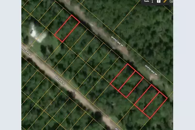 115 Tomahawk Trail, Livingston, TX 77351 - Photo 2