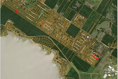 115 Tomahawk Trail, Livingston, TX 77351 - Photo 6