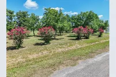 7663 Bobwhite Street, Brookshire, TX 77423 - Photo 6